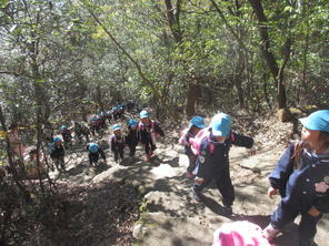 年長組　金華山登山（１１月１日）