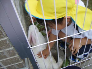 うさぎは大好きなお友達 うさぎは大好きなお友達