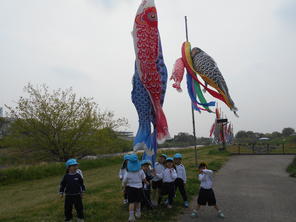 年少組　こいのぼり見学　４月２３日