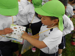 年長組　こいのぼり見学(４月２３日）