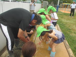 年長組　田植えをしました（6月1４日）