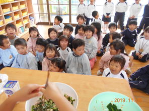 小松菜の収穫・実食（11月25日・26日）年少組