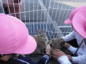 うさぎのちょこちゃん　（2021.11.18）