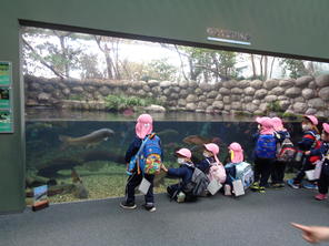 お別れ遠足～全園児で行ってきました～（2023.3.2)