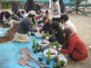 花の寄せ植え講座