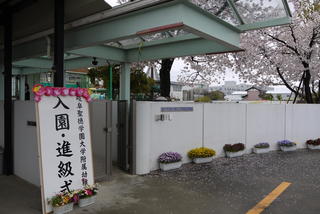 令和６年度が始まりました