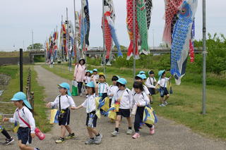 鯉のぼり見学に行ってきました。