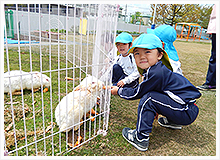 動植物とのかかわり