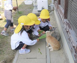 命のふれあい　うさぎさんと遊びました