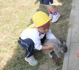 命のふれあい　うさぎさんと遊びました