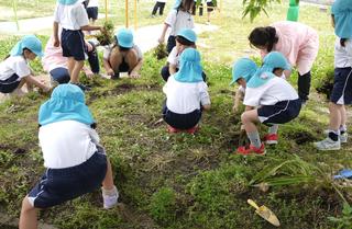 年長組が花壇づくりを行いました。