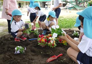年長組が花壇づくりを行いました。