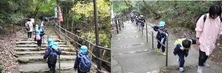 年長組が金華山に登りました。