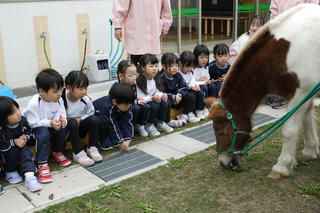 幼稚園に２頭のポニーがやってきました。