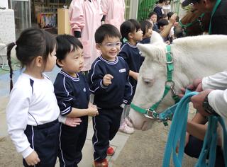 幼稚園に２頭のポニーがやってきました。